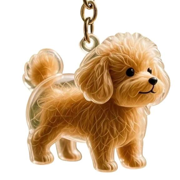 lixuesong Clear Pet Hair Memorial Keychain Keepsakes Box Dogs Furs Collector Clear Jewelry Holder Pendant For Pet Lover