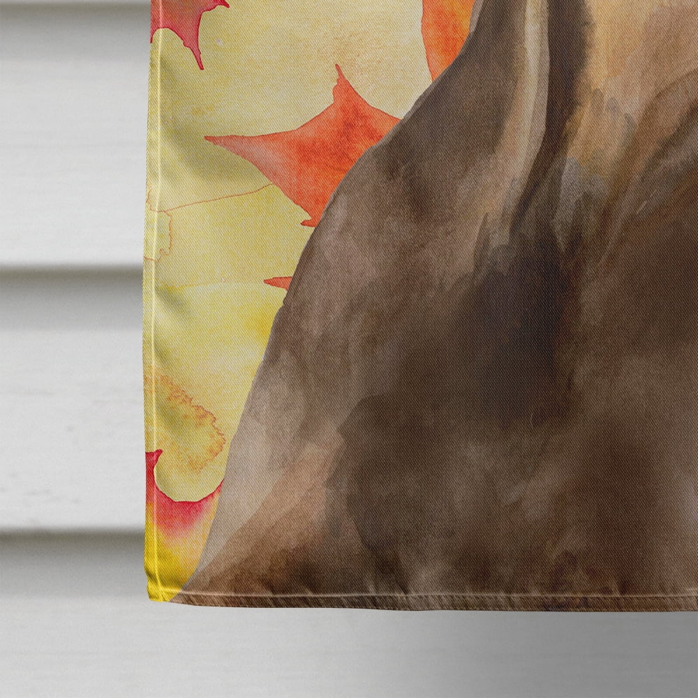 Carolines Treasures BB9970CHF Doberman Pinscher Fall Flag Canvas House Size  Large multicolor