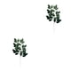 thumbnail image 4 of Advancent 10x Decoración De Plantas No Tóxicas - Para Oficinas Y Salas De Estar Jardín Arreglo Frescura Type3 NO3, 4 of 6