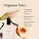 thumbnail image 2 of Dime Beauty Perfume Lovely Sweet Dreams, 1,7 oz / 50 ml - Cálido aroma floral y vainilla, hipoalergénico, perfume limpio, Eau de Toilette para mujeres (el embalaje puede variar), 2 of 5