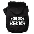 thumbnail image 6 of Thanksgiving Pet Dog  Cat Hoodie Screen Printed, "Be Thankful for Me", 6 of 11