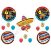 FIESTA Pinata Sombrero Birthday Party Balloons Decoration Supplies Taco Mexico