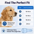 thumbnail image 5 of Noise Canceling Ear Wrap, Adjustable Dog Ear Muffs Noise Protection for Grooming Bathing Swimming, Quiet Pet Calming Cover for Fireworks Travel, 5 of 6