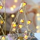 thumbnail image 1 of 10ft 30LEDs Luces colgantes decorativas navideñas Cadena de hadas blanca cálida yeacher Luces led, 1 of 7