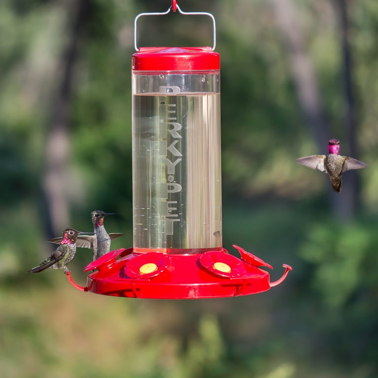 More Birds Comederos De 36 Pulgadas, Capacidad De Néctar De 20 Onzas, Granate, Comedero De Colibrí De Vidrio, Rojo, 7 Feedi, 20 Onzas, Beige