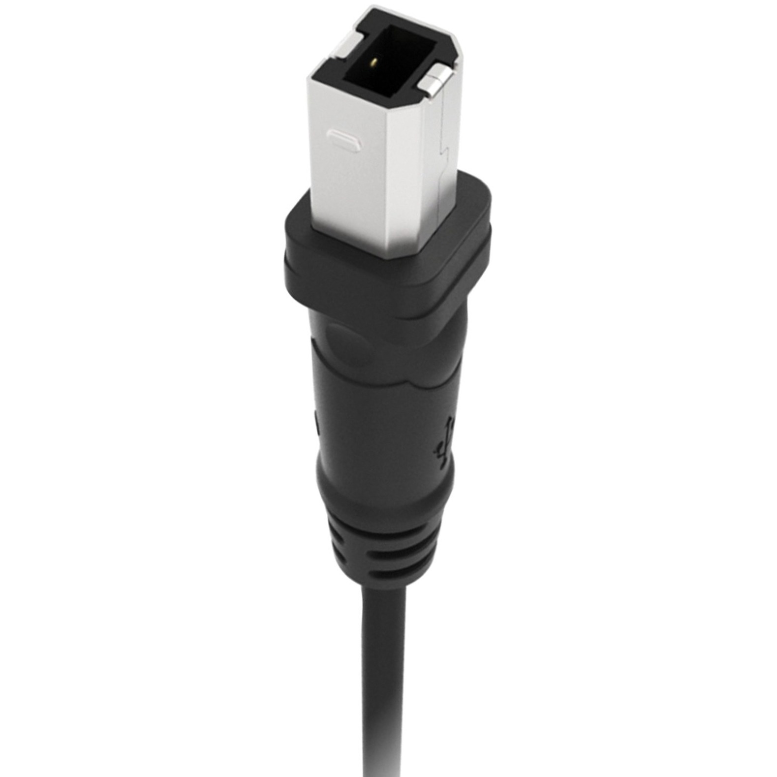 Belkin F3U133B10 10 ft. Hi-Speed Type A Male USB 2.0 to Type B Male USB 2.0 Cable - image 3 of 3