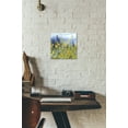 thumbnail image 2 of Epic Art 'Joyful in July III' by Shirley Novak, Acrylic Glass Wall Art, 12"x12", 2 of 2