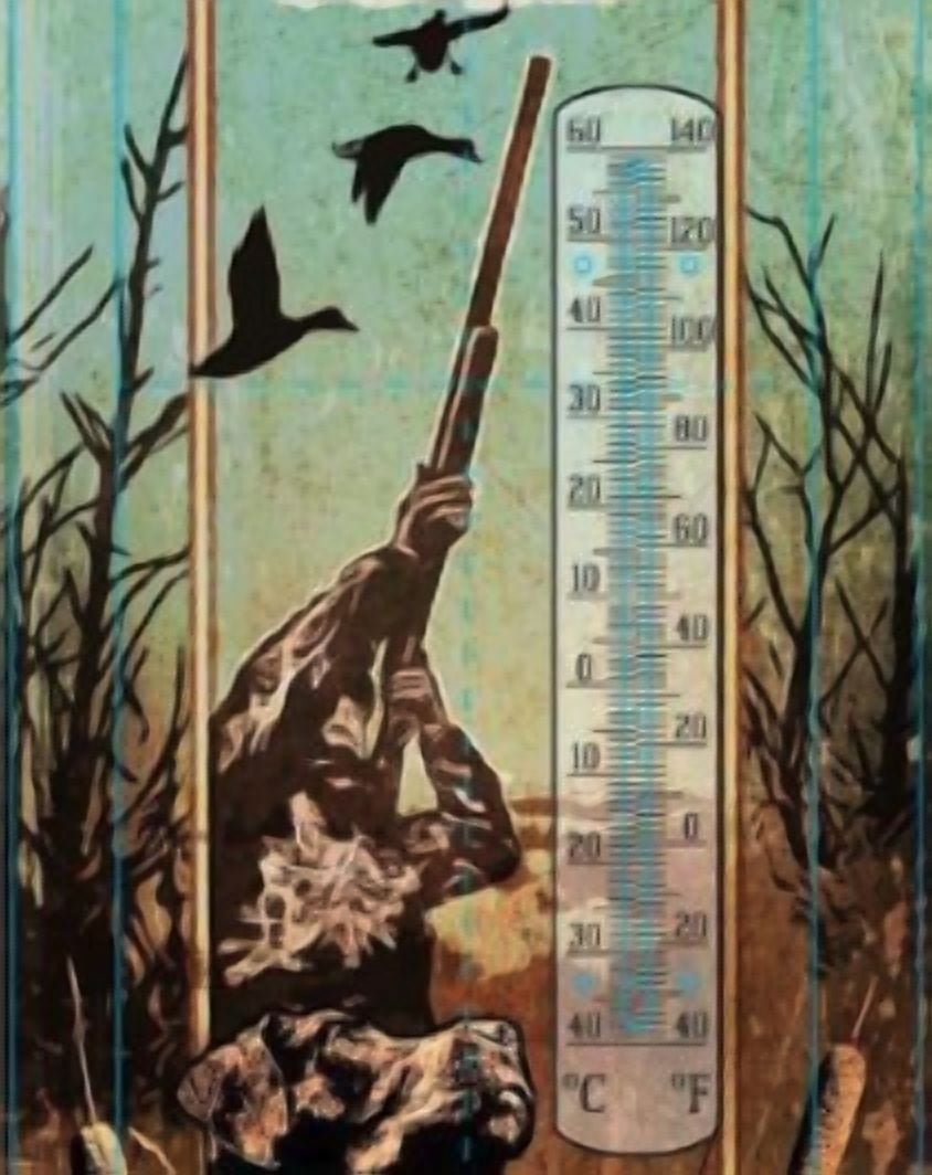 Thermometer Hanging Metal ~ 22 Gauge Metal Lithograph Print Measures 5" x 17" Indoors or Outdoors  {If Missing We're Hunting}