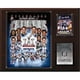 C & I Collectables 1215SB51 12 x 15 Po NFL New Angle Patriots Super Bowl 51 Champions Plaque – image 1 sur 1