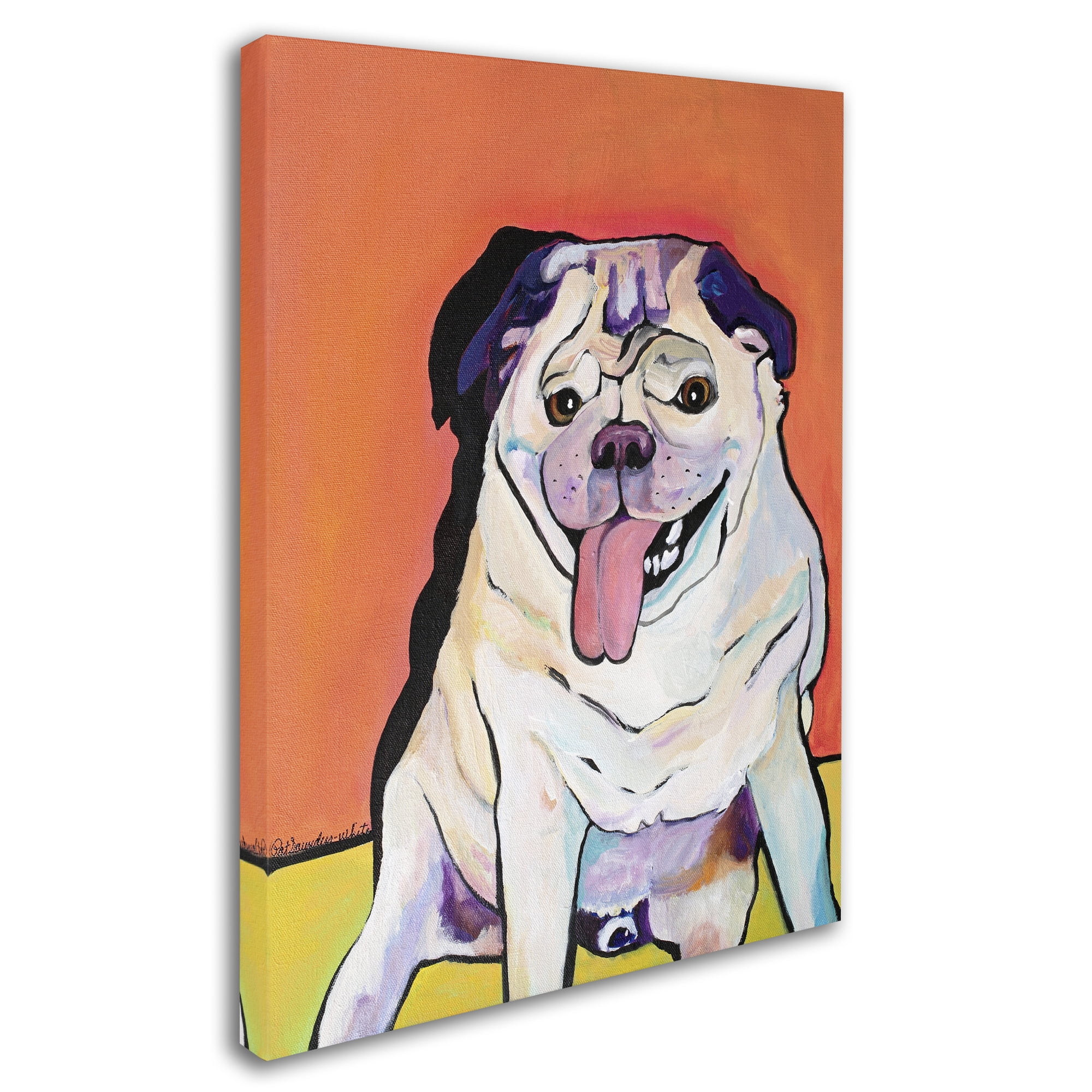 Trademark Fine Art "Conan" Canvas Art by Pat Saunders-White
