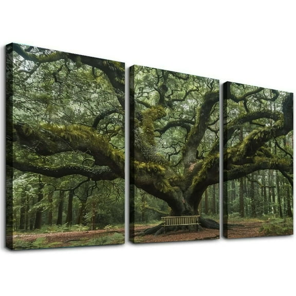Ullo0ord Angel Oak Tree Johns Island South Carolina Poster Decorative Painting Canvas Wall Posters And Art Picture Print Modern Family Bedroom Decor Posters (12x24inch-Framed)