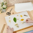 thumbnail image 3 of 24 Sheets Blotting Paper for Flower Press 14.92x11.42Inch Flower Press Paper Highly Absorbent and Reusable Blotter Paper for Flower Press Herbarium Paper Craft, 3 of 5
