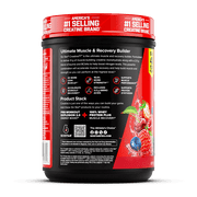 Six Star Pro Nutrition Creatine X3 BCAA Amino Acid Blend Powder, Fruit Punch, 2.18 lbs, 30 Servings