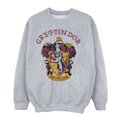 thumbnail image 1 of Harry Potter Boys Gryffindor Cotton Sweatshirt, 1 of 6