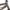 Black, variant on 20" Realtree Boys Bike by Dynacraft for Age 7-14 Years