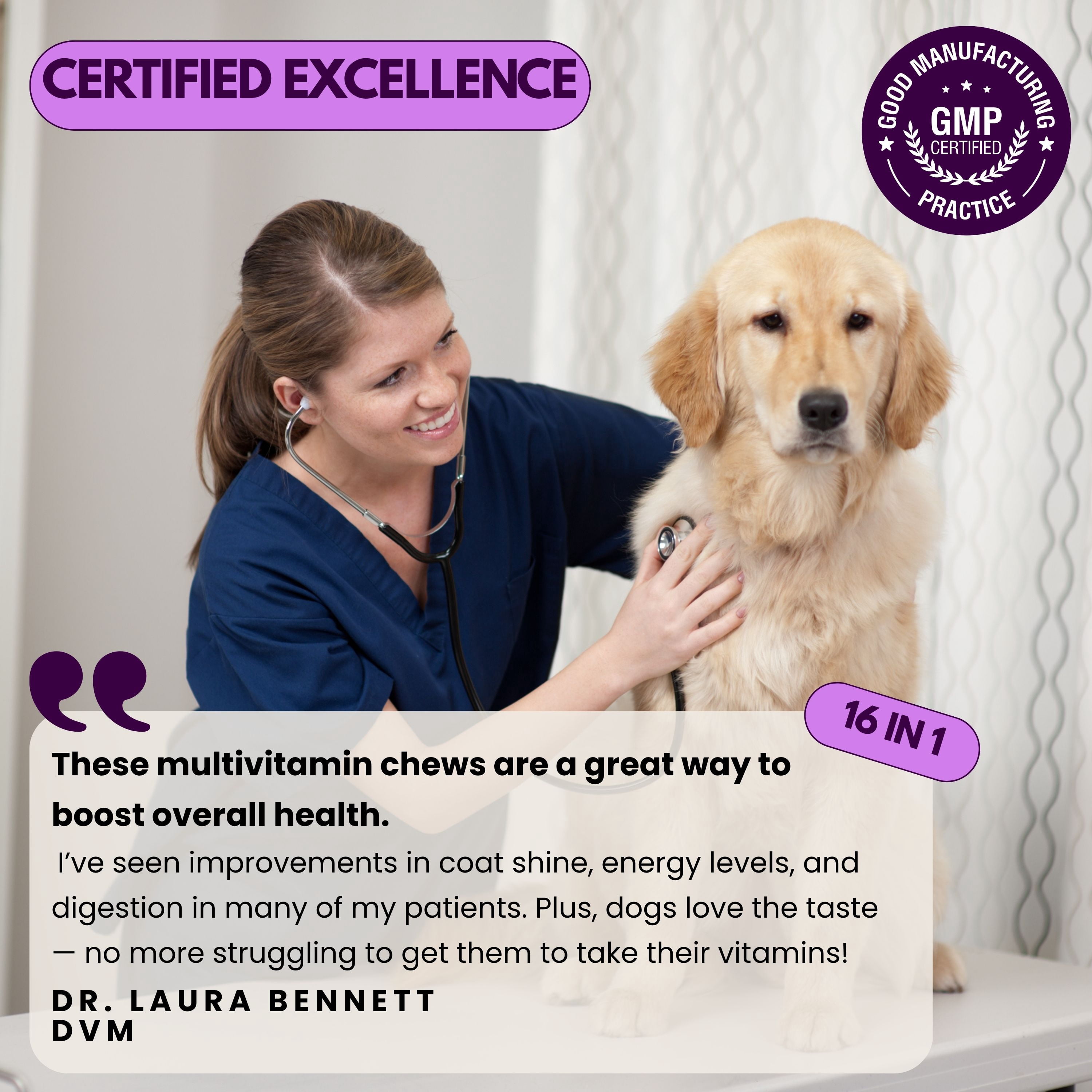 Pawious Multivitamin for Dogs, Hip and Joint Support, Chicken Flavor, 9 oz, 120 ct.