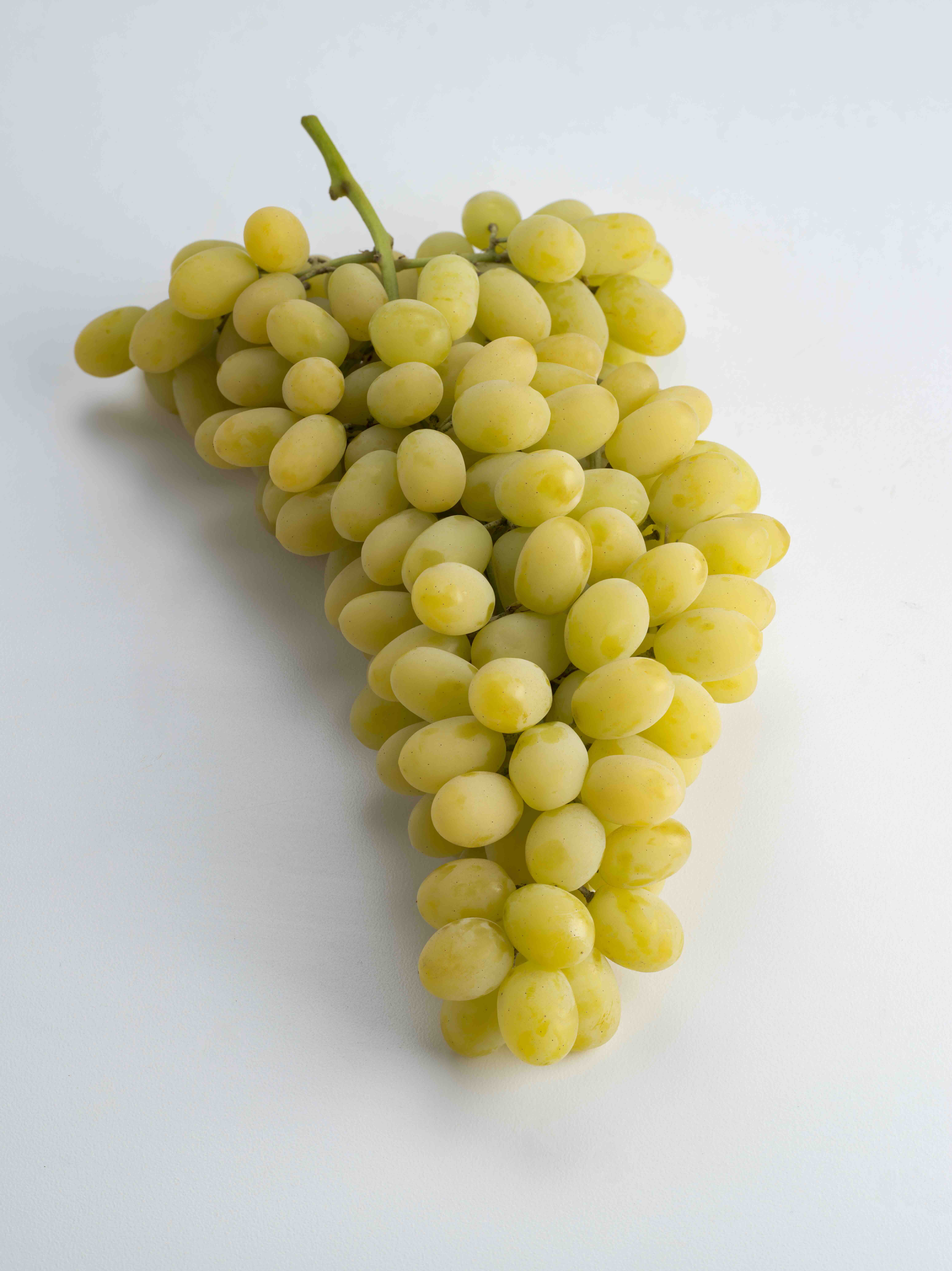 Fresh Candy Grapes, 1 Lb