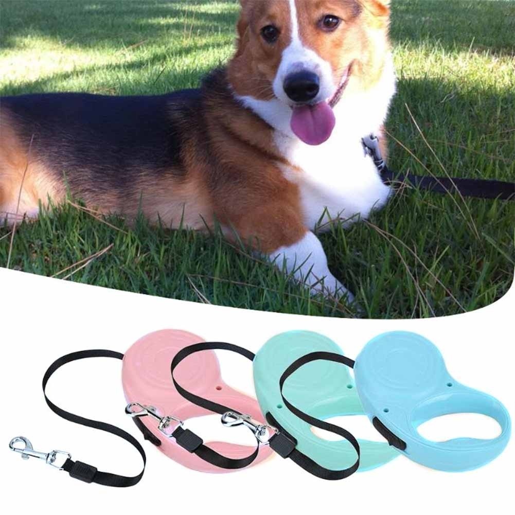 5m dog leash