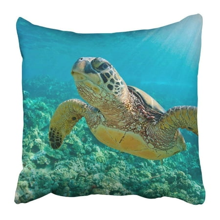 WOPOP Green Maui Sea Turtle Close Up Over Coral Reef in Hawaii Snorkel Swim Underwater Environment Dive Pillowcase 18x18