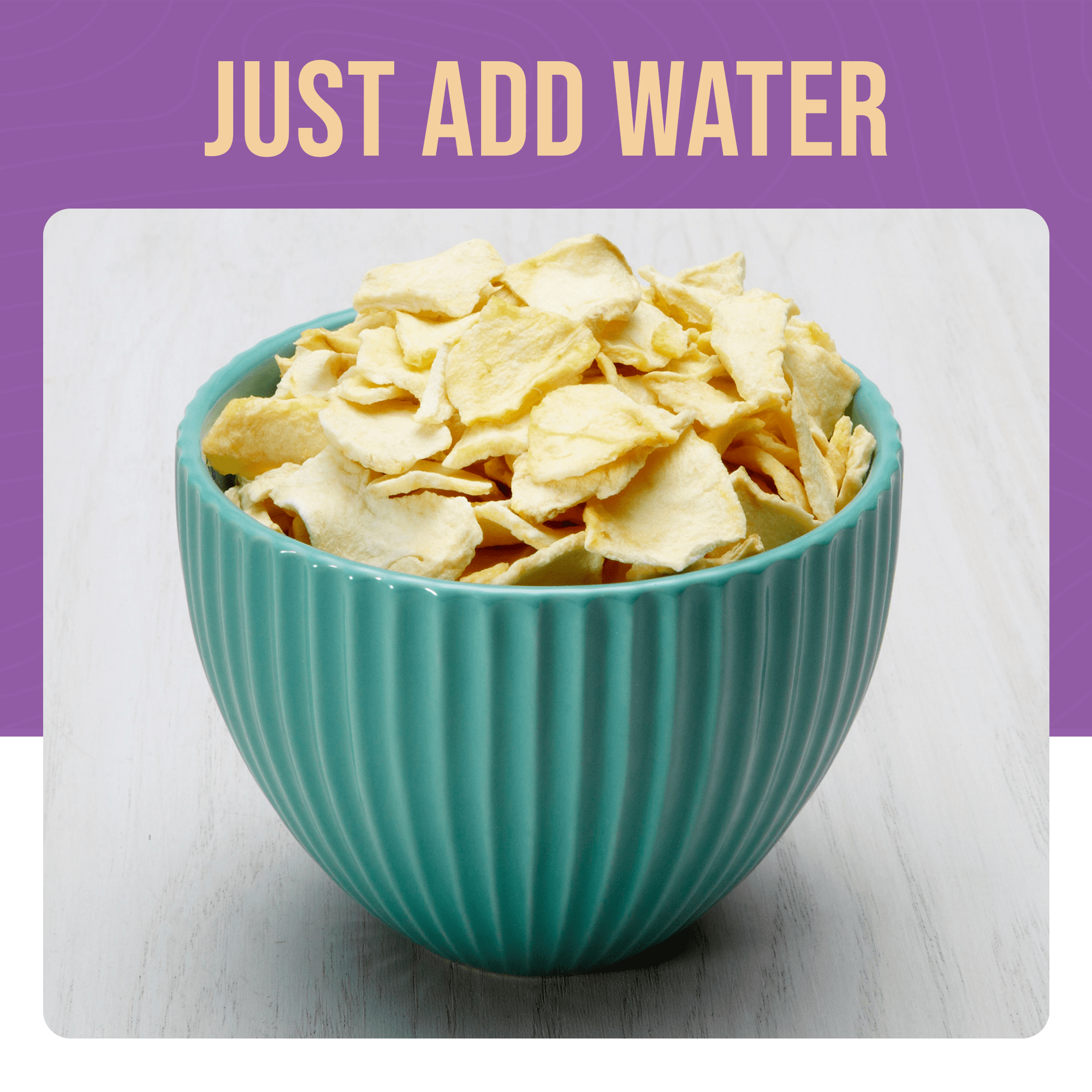 Augason Farms Dehydrated Apple Slices Can - Gluten Free Survival Food with Long Shelf Life - Dehydrated Emergency Food Supply for Camping, Prep & Everyday Meals - 20 Servings
