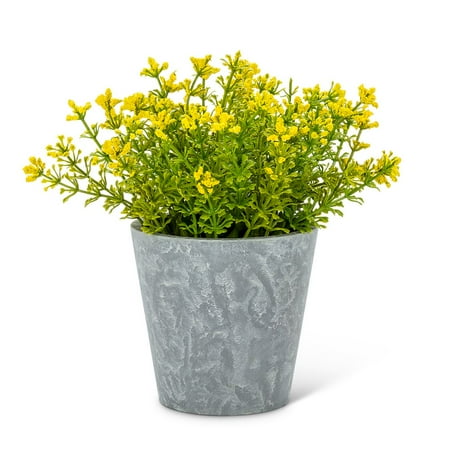 Set of 4 Flowering Plant Pot