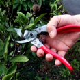thumbnail image 2 of vs-8z, secateurs, ARS-VS-8XZ, 2 of 3