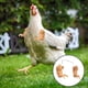thumbnail image 4 of Arms Funny Chicken Arms Pollos Gag Regalo Disfraz De Pollo Monstrate HA040505-02, 4 of 6