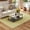 Camel, variant on ASPILLOW Area Rug 5x8 Soft Non Shedding Stain Resistant Non-slip Carpet for Living Room Dining Room Bedroom Den,Black
