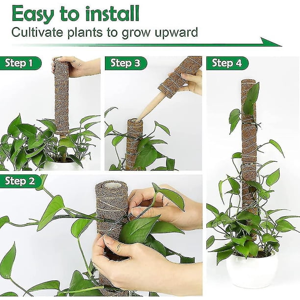 Christmas Coir Pole, 2pcs 40cm Monstera Plant Support, Moss Pole For Cheese  Plant Indoor - Walmart.ca