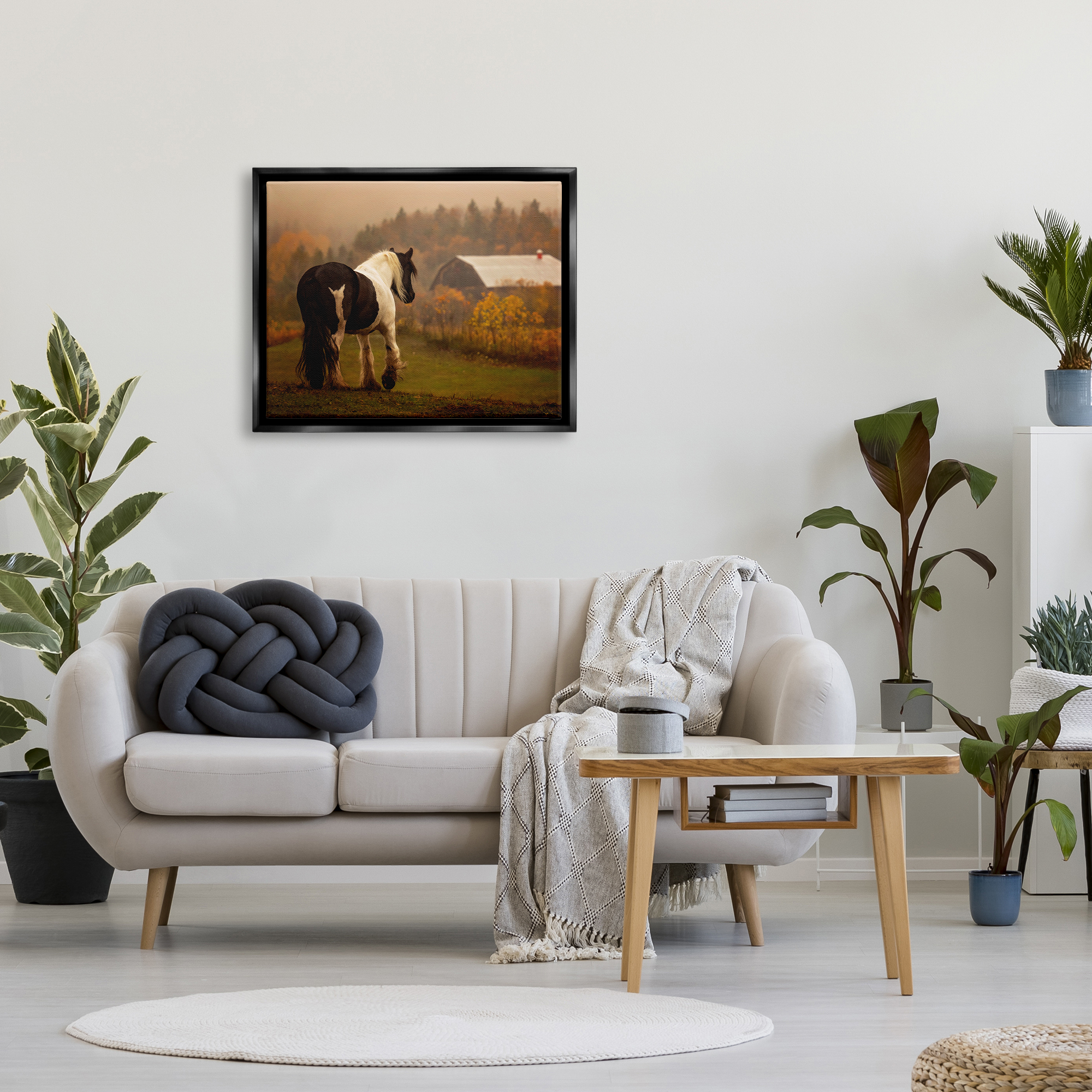 Stupell Industries Horse Overlooking Barn Landscape Photography Black Floater Framed Canvas Art Print Wall Art, 31 x 25