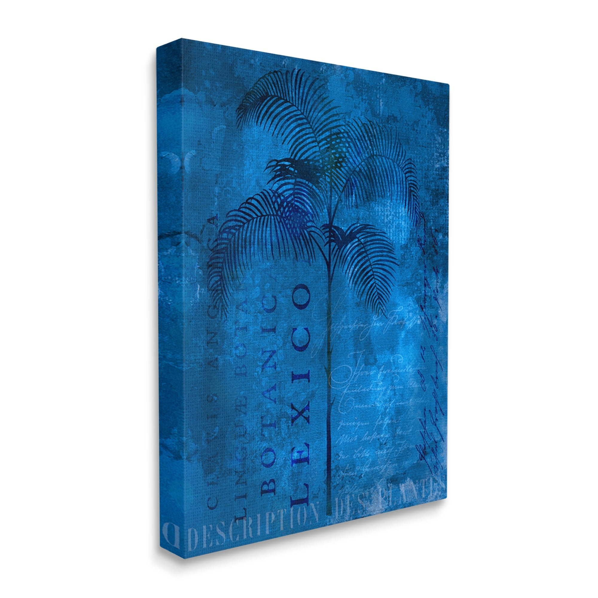 Stupell Modern Botanical Palm Collage Landscape Painting Gallery Wrapped Canvas Print Wall Art