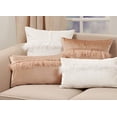 thumbnail image 3 of Fennco Styles Modern Velvet with Faux Fur Design Decorative Throw Pillow, 3 of 9