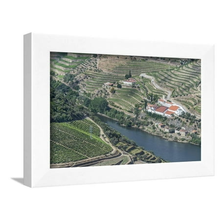 Portugal, Douro Valley, Douro River and Hillside Vineyard Framed Print Wall Art By Rob