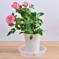 thumbnail image 4 of Plastic Flower Pot Drip Trays, 10 Pcs Clear Plastic Plant Saucers With Most Planters Durable Leak Proof Ribbed Bottom For Healthy Plant Aeration, 4 of 7