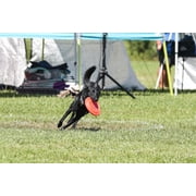 Hyperflite Z-Disc X-Comp Puncture Resistant Dog Flying Disc, 9.25-inch, for Large Dogs