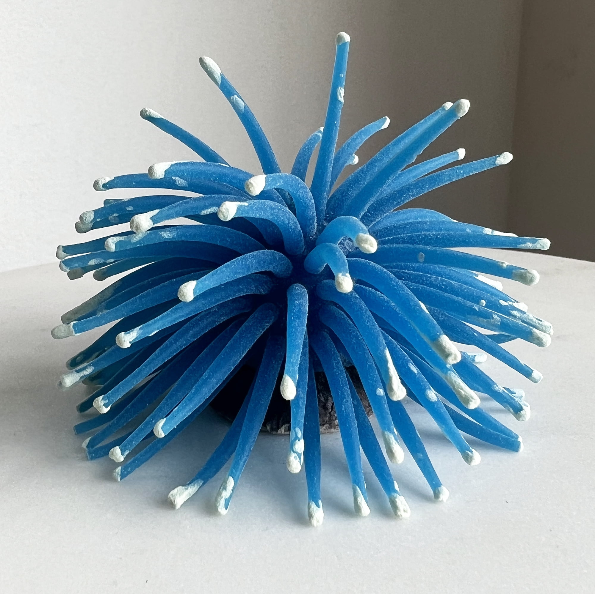Aqua Culture Silicone Anemone in an Assortment of Colors