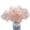 Champagne, variant on 13Bones Ostrich Feather Fan Stages Performance Carnival Show Accessory Big Feather Fan