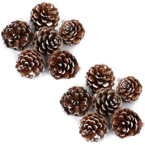 Happon 12Pcs Christmas Pine Cones,Berry Pine Branch Set, Natural Pinecones Winter Holiday Ornament for DIY Crafts Assorted Sizes Home Decorations Xmas Tree Tag Gift Party Supplies