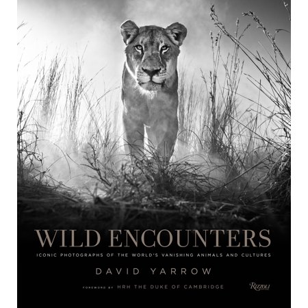 Wild Encounters : Iconic Photographs of the World's Vanishing Animals and (Best Photos Of Animals In The World)