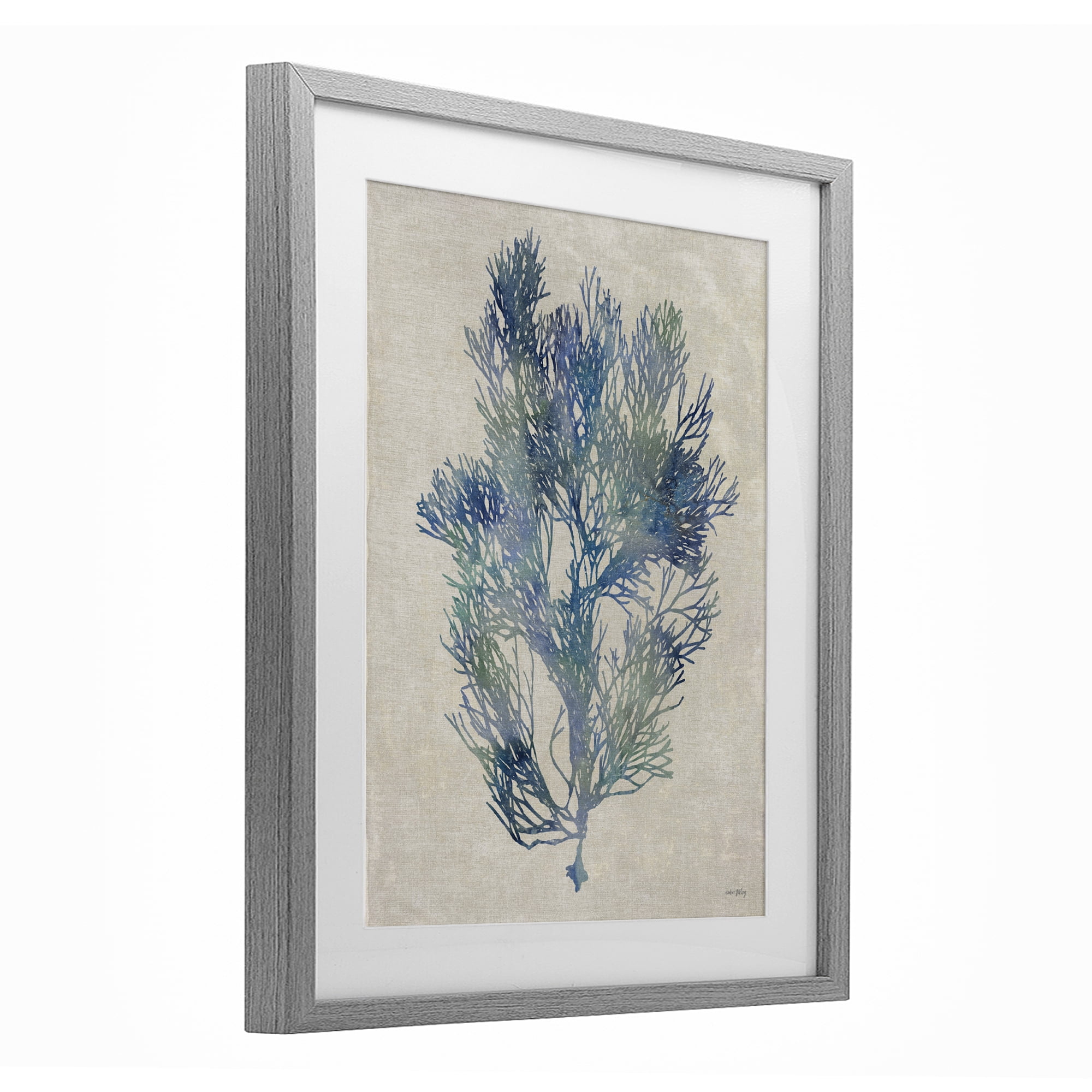 Stupell Industries Misty Blue Coral Study Gray Framed Print Under Glass, design by Amber Sterling