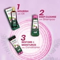 thumbnail image 5 of Kesh King  Onion Hair Growth Shampoo Reduces Split Ends & Frizz, Repairs Dry & Damaged Hair With The Goodness Of Onion, Amla, And Bhringraj (600 Ml), 5 of 5