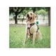 thumbnail image 2 of Pechera Arné Para Perro Ajustable Con Bandas Reflectivas Xtellar rosa, 2 of 4