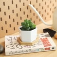 thumbnail image 2 of Planter Pot Bamboo Saucer Hexagon Set of 6, Succulent Pot Holder Drainage Tray for Most Small Ceramic Succulent Planters Holding Drainage Water, 2 of 5