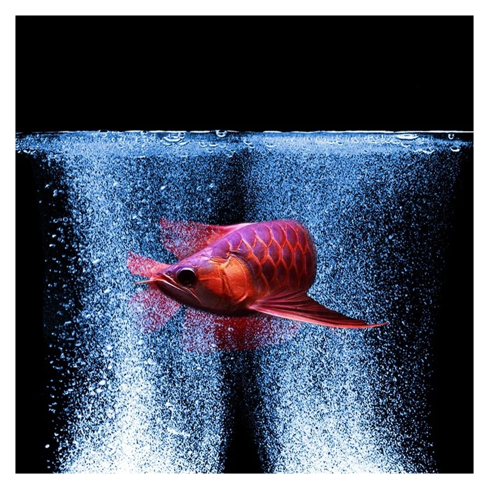 High Energy Powerful Compressor Aquarium Increasing Oxygen Air Pump Ultra Silence for Fish Tank Pond