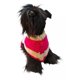 thumbnail image 1 of Hermoso Suéter Con Destellos Para Perro M, 1 of 3