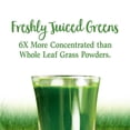 thumbnail image 4 of Green Superfood Garden of Life Perfect Food, 60 porciones, 4 of 5