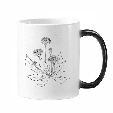 

Dandelion Blossong Black White Flowers Changing Color Mug Morphing Heat Sensitive Cup With Handles 350ml