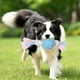 thumbnail image 4 of Puppy Chew Toys for Small Dogs Pets Play Chase Chew, 4 of 5
