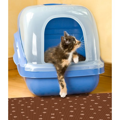 pet champion 2 layer sifting cat litter mat