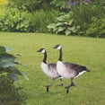 thumbnail image 2 of TEHAUX 2pcs Duck Stakes Duck Shape Acrylic Outdoor Decoration for Garden, 2 of 4